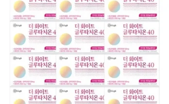 더 화이트 글루타치온40 12개월분 추천 상품과 가격 비교 정리