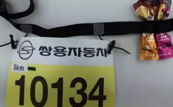 배번호벨트 추천 상품 가격 비교와 Best후기 정리