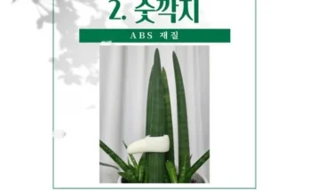 숫깍지 추천 후기 가성비 리뷰 가격 비교 순위