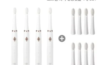 오스템 와픽 프리미엄 핸디 구강세정기 11세트 추천 BEST 인기상품 가격 비교