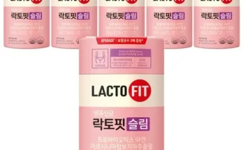 종근당건강 락토핏 코어맥스 360포(60포X6통 추천 2024년 BEST상품 최저가 비교분석