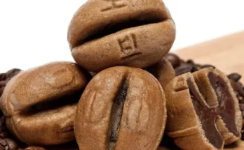 강릉무인텔 추천 1등 상품 가격비교와 후기 정리