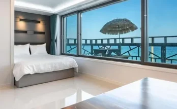 강릉애견동반숙소 추천 상품 후기와 가격 비교