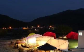 강원도애견동반숙소 추천 2024년 TOP10 인기순위 가격비교