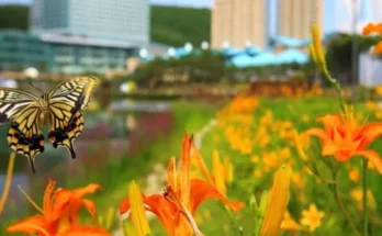 강원랜드호텔 추천 후기 가성비 리뷰 가격 비교 순위