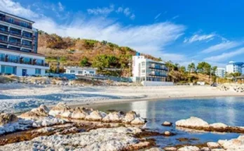 경주애견동반숙소 추천 BEST 인기상품 가격 비교