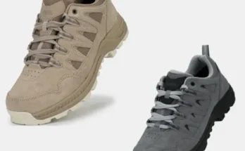 네파칸네토 추천 상품과 가격 비교 정리