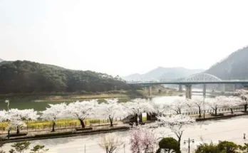 단양호텔 추천 2024년 BEST상품 최저가 비교분석