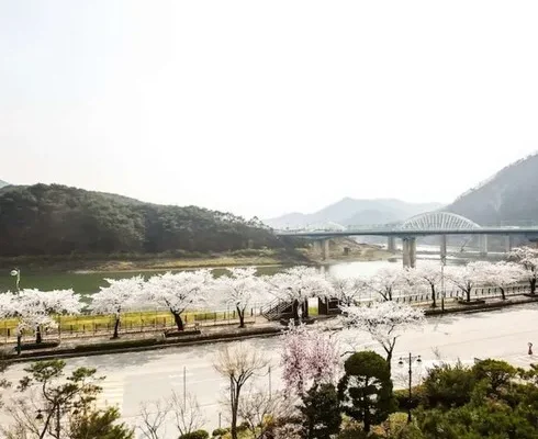 단양호텔 추천 2024년 BEST상품 최저가 비교분석