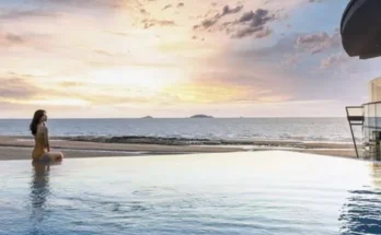 덕산리솜 추천 2024년 브랜드 TOP10 가격 종류 비교