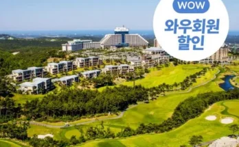 델피노소노펠리체 추천 BEST상품과 가격과 후기 비교