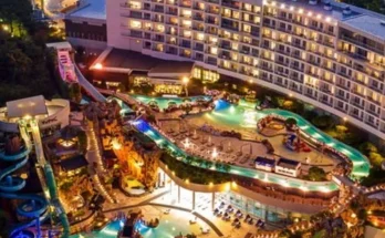 리솜 추천 상품 후기와 가격 비교