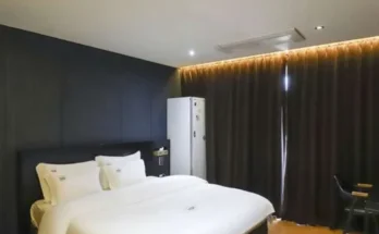 리솜스플라스 추천 및 구매가이드 장점 단점 가격 비교