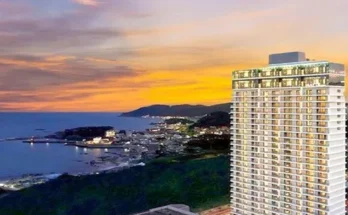 마티에오시리아 추천 BEST 특가 할인 정보 정리