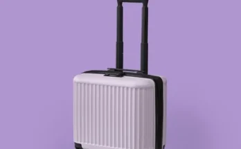 모던하우스루키 2024년 BEST 추천 상품 가격 비교