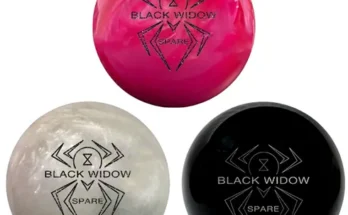 블랙위도우볼링공 추천 2024년 BEST상품 최저가 비교분석