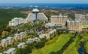 소노펠리체델피노 추천 2024년 TOP10 인기순위 가격비교