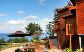 시포트리조트 추천 및 구매가이드 장점 단점 가격 비교