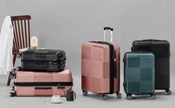 아날도바시니캐리어 추천 제품 최저가 가격 비교 정리