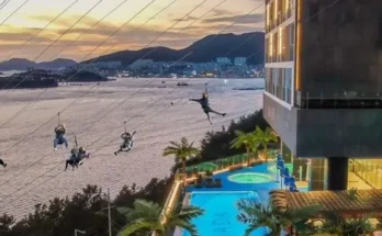 여수라마다 추천 (인기 브랜드 순위 가격 비교) TOP10