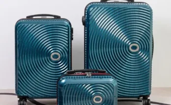 오르넬리라피카 추천 2024년 브랜드 TOP10 가격 종류 비교