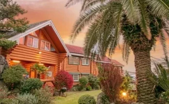 제주도애견동반숙소 추천 (인기 브랜드 순위 가격 비교) TOP10