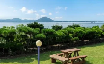 제주애견동반숙소 추천 상품 후기와 가격 비교