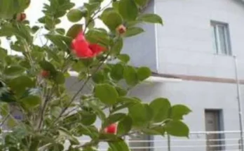 진도숙소 추천 2024년 BEST상품 최저가 비교분석