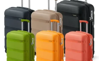 페더스캐리어 추천 상품과 가격 비교 정리