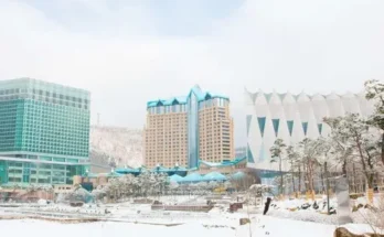 하이원숙소 추천 (인기 브랜드 순위 가격 비교) 제품정보 TOP10