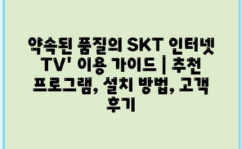 약속된 품질의 SKT 인터넷 TV’ 이용 가이드 | 추천 프로그램, 설치 방법, 고객 후기