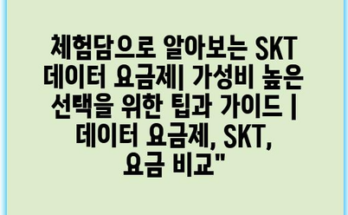 체험담으로 알아보는 SKT 데이터 요금제| 가성비 높은 선택을 위한 팁과 가이드 | 데이터 요금제, SKT, 요금 비교”