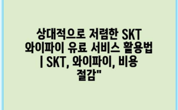 상대적으로 저렴한 SKT 와이파이 유료 서비스 활용법 | SKT, 와이파이, 비용 절감”