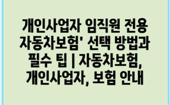 개인사업자 임직원 전용 자동차보험’ 선택 방법과 필수 팁 | 자동차보험, 개인사업자, 보험 안내