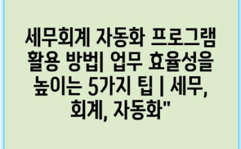 세무회계 자동화 프로그램 활용 방법| 업무 효율성을 높이는 5가지 팁 | 세무, 회계, 자동화”