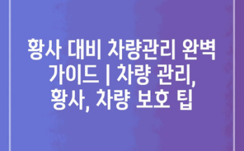 황사 대비 차량관리 완벽 가이드 | 차량 관리, 황사, 차량 보호 팁